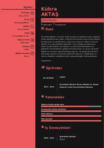 Çocuk Bakıcısı CV Örnekleri cv indir